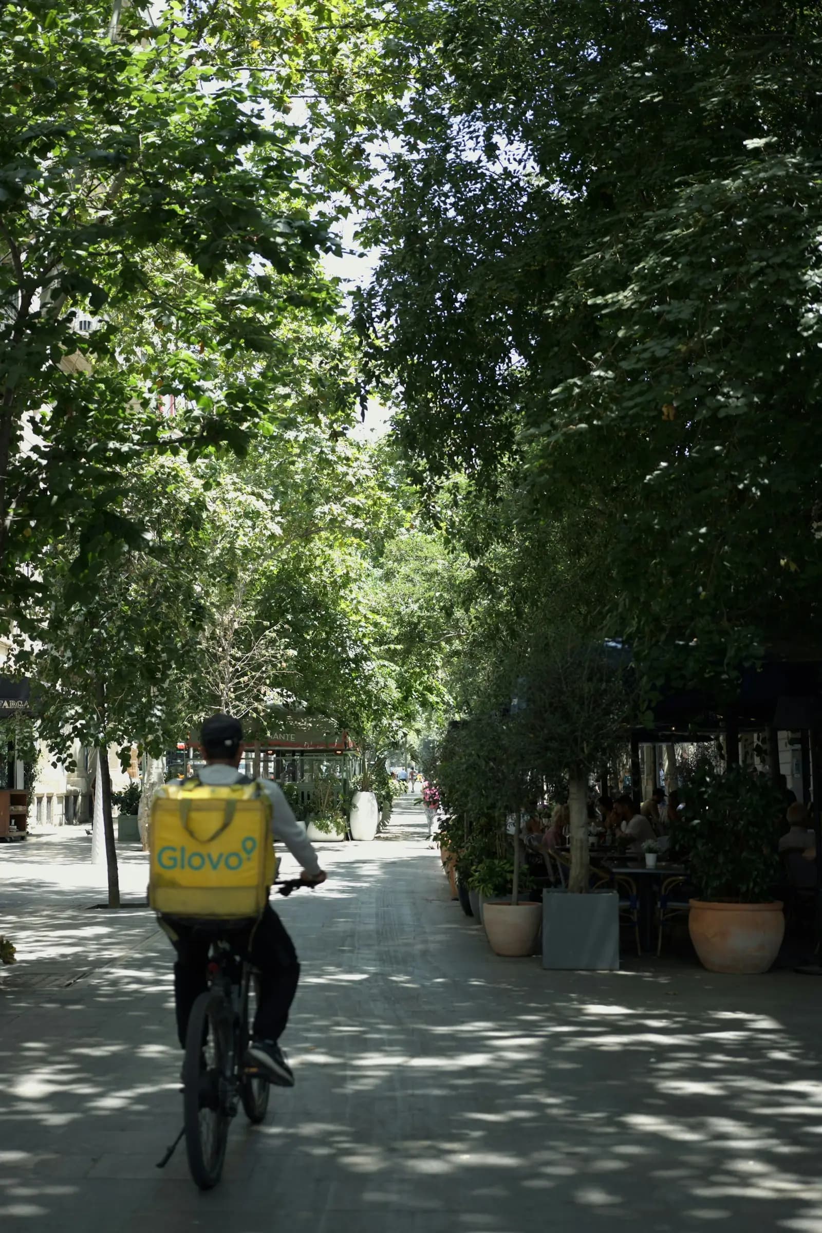 A courier on a bicycle along a tree-lined street